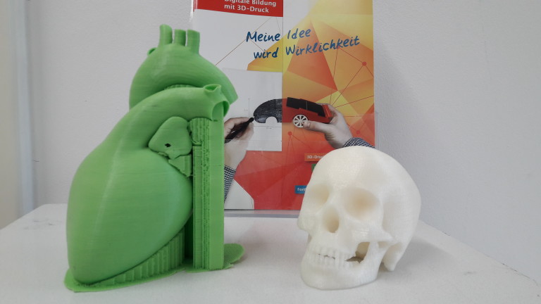 Ein Herz-3D-Modell (mit Stützmaterial) und ein 3D-gedruckter Schädel aus dem Bildungsdrucker.